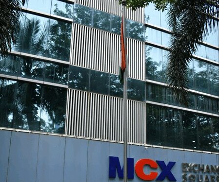 Predefined data parameter triggered 4-hour trading disruption: MCX