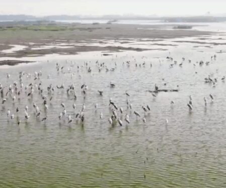 TN mulls proposing Samanatham tank as Ramsar site for wetland conservation