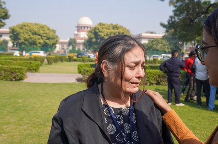 'August 11 order returns': Supreme Court advocates on stray dog removal directive