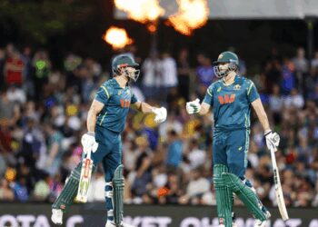 3rd T20I: David and Stoinis carry Australia to 186/6 against India