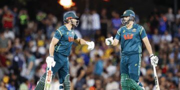 3rd T20I: David and Stoinis carry Australia to 186/6 against India