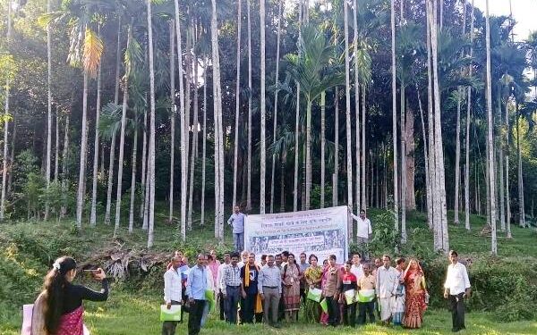 Tripura Areca Nut growers