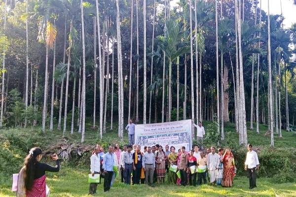 Tripura Areca Nut growers
