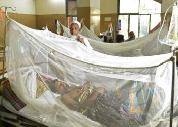 Bangladesh: Five more people die of dengue, 2025 death toll crosses 280