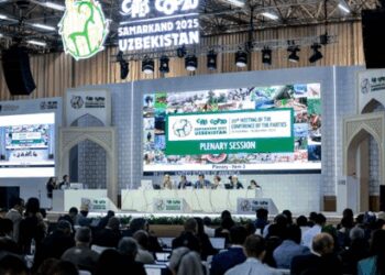 Delegates to decide on global wildlife trade rules as CITES CoP20 opens in Samarkand
