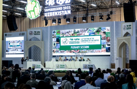 Delegates to decide on global wildlife trade rules as CITES CoP20 opens in Samarkand