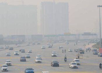 Delhi air pollution: SC seeks reports from Punjab, Haryana on stubble burning