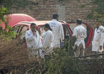 Delhi blast: Signal chats, weapon trail expose structured core of terror module