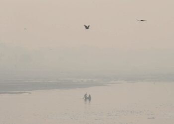 Delhi continues to choke on toxic air as AQI remains in 'severe' zone