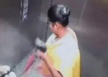 Domestic worker smashes puppy to death inside apartment lift in Bengaluru; CCTV footage sparks outrage
