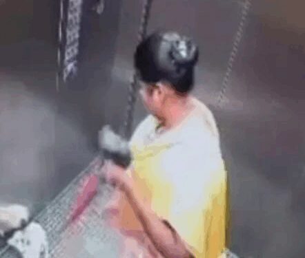 Domestic worker smashes puppy to death inside apartment lift in Bengaluru; CCTV footage sparks outrage