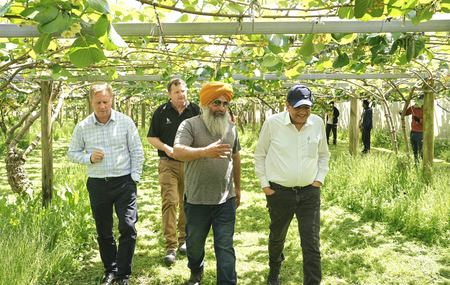 Grateful to Kiwi-Indian farmers for very productive orchard visit: Piyush Goyal