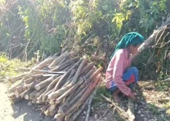 Development Struggles to Climb the Hills