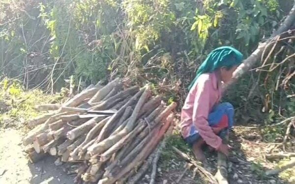 Development Struggles to Climb the Hills