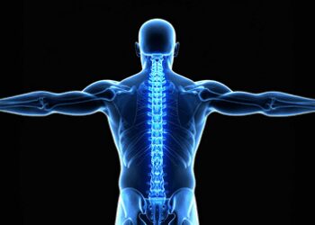 Japanese researchers successfully regenerate bone using stem cells