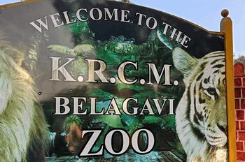 K'taka blackbuck death toll rises to 29; initial probe points to bacterial infection