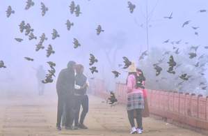 Rajasthan records season’s coldest spell; Pilani at 4.9 and Nagaur at 5.6 degrees Celsius