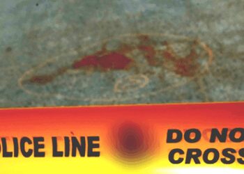 ‘Head, both hands severed’: Dismembered woman’s body found in Noida