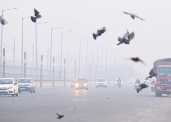 Air pollution can heighten anxiety and trigger panic-like symptoms: Doctors