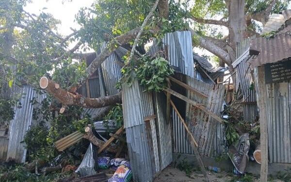 Banyan Tree Collapse: Narrow Escape for Consumers in Ration Shop Mishap