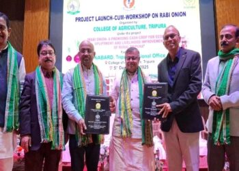 Rabi onion as a cash crop to boost rural income