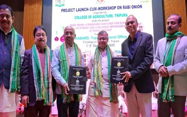 Rabi onion as a cash crop to boost rural income