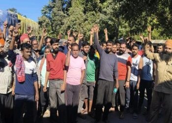 Police dilemma over ganja smuggling