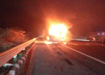 Fatal Expressway Collision Leaves Three Dead in Rajasthan