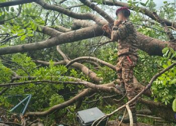 India continues post-cyclone relief efforts in Sri Lanka under Op Sagar Bandhu