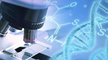 Indian scientists engineer CRISPR protein to boost gene editing to treat genetic diseases, cancer