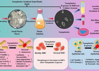 Indian study finds 1st evidence on how nanoplastics from single-use PET bottles harm body