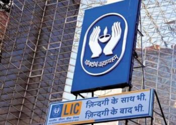 India’s life-insurance sector makes a strong rebound in Nov, LIC leads