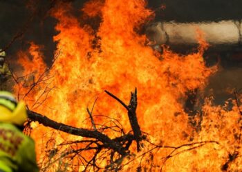 Over 30 homes damaged or destroyed by bushfire in Australia's Tasmania