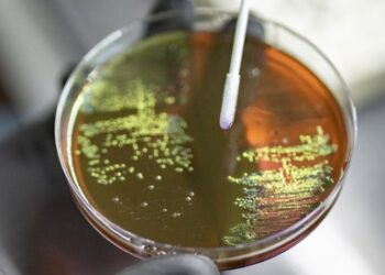 Why is antimicrobial resistance not just future threat, but a present reality