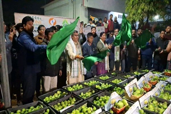 A New Global Strategy for Scented Lemon of Tripura