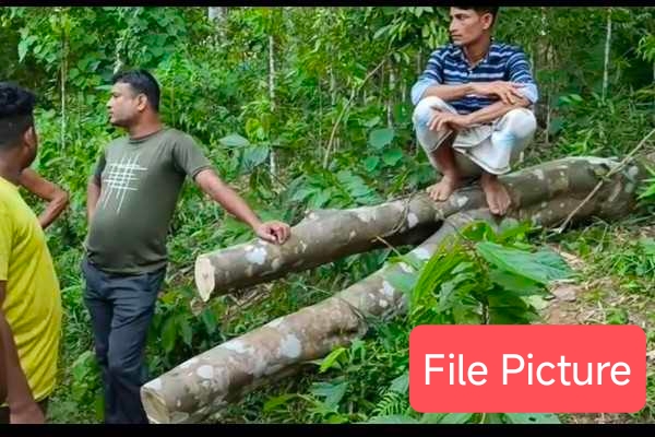 Union Budget 2026-27: Will 'Liquid' and 'Green' Gold of Tripura Get a Boost