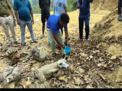 Local Breed Dogs Rescued from Chakmaghat, ‘Smuggling’ Bid Foiled