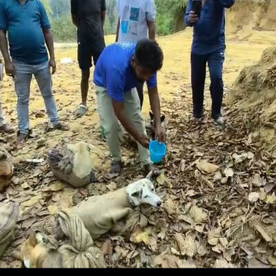 Local Breed Dogs Rescued from Chakmaghat, ‘Smuggling’ Bid Foiled