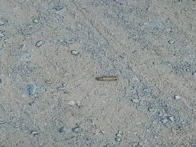 Tripura ADC Poll Violence Persists Despite TMP Chief’s Peace Call