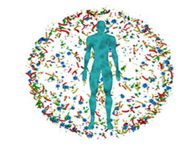 Meet The ‘Forgotten Organ’ That Makes Us Human