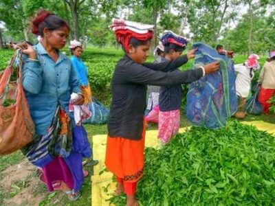 Assam NDA Grip Tightened on Tea Tribe Seats, Says Himanta