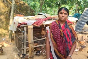 Tripura entrepreneur Shukla Ray managing diversified farming, poultry and rubber-based enterprises in Haripur village