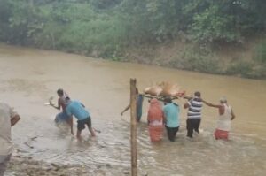 Charilam Villagers wading through river water to carry bodies at the cremation ground for last rites.