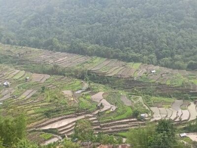 Indigenous Environmental Management and Climate Change Adaptation in Nagaland