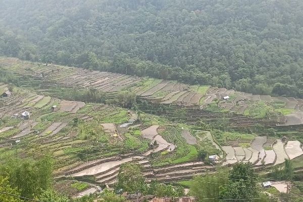 the Zabo System of Phek District and the conservation model of Khonoma Village are two examples of Indigenous climate change solutions of Nagaland