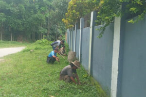Jampui Hill Tripura community members planting over 1000 saplings during environmental conservation drive