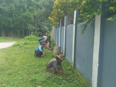 Jampui Hill Launches Green Mission with 1,000 Saplings Plantation Drive