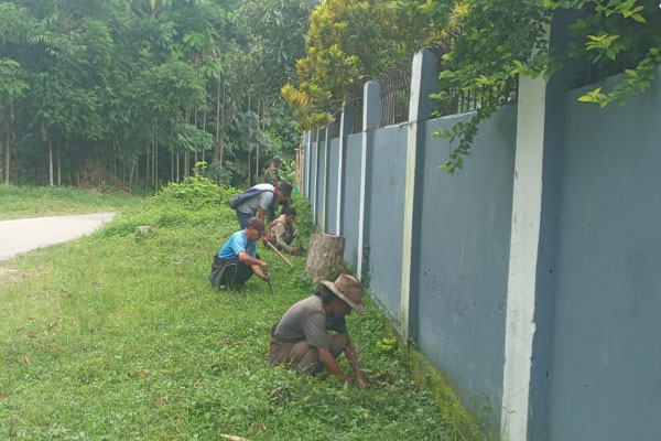 Jampui Hill Tripura community members planting over 1000 saplings during environmental conservation drive