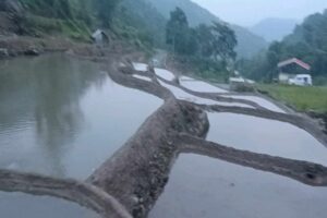 Indigenous people carefully prepared landscape for environmental and ecological conversation