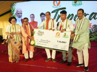 Rs 234 Cr Plan: Tripura Target Processing, Branding & Value Addition for Queen Pineapple
